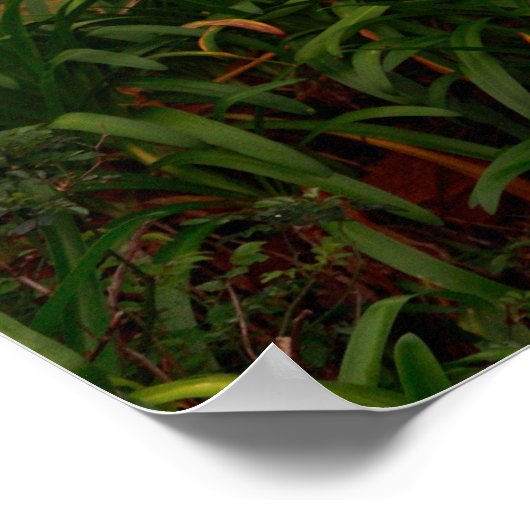 onderwasgoed poster (Hoek)