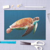 Onderwater 24 tissuepapier (Craft)