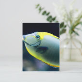 Onderwater Briefkaart (Staand voorkant)