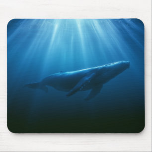 Onderwater Bultrugwalvis Muismat