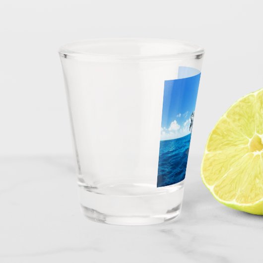 Onderwater dolfijnenglas shot glas (Links)