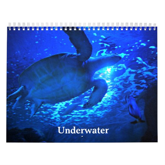 Onderwater Kalender (Hoes)