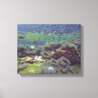 Onderwater Paradijs Similar Islands Thailand Canvas Afdruk