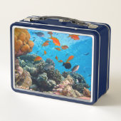 Onderwater vissen en koraal scène (Achterkant)