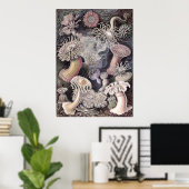 Onderwater Zee Anemones door Ernst Haeckel Poster (Thuiskantoor)