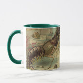 Onderwater Zee leven garnalen,  oceaandieren Mok (Links)