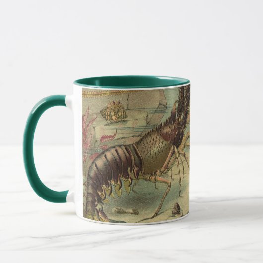 Onderwater Zee leven garnalen, oceaandieren Mok (Links)