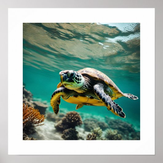 Onderwater Zee Turtle Poster (Voorkant)