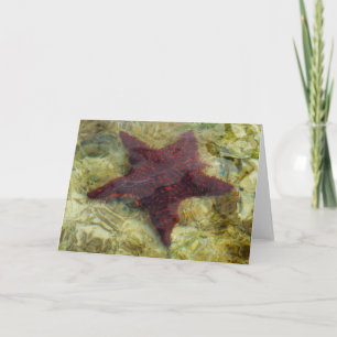 Onderwater Zeester in de Bahama's Kaart