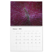 Onderwatergids, kalender van 24 maanden (Feb 2026)