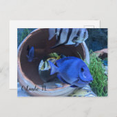 Onderwatergroet Briefkaart (Voorkant / Achterkant)