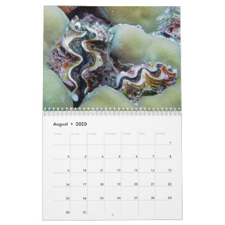 Onderwaterkalender — Palau Kalender