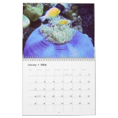 Onderwaterkalender — Palau Kalender (Jan 2026)