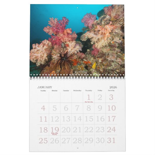 Onderwaterreizen 2011 kalender (Jan 2026)