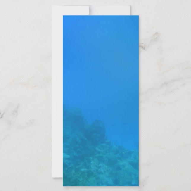 Onderwaterscène (Voorkant)