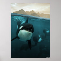 Onderwaterscène met orca