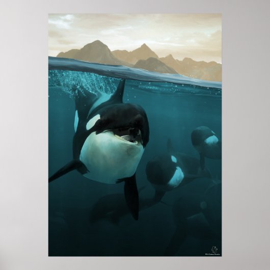 Onderwaterscène met orca poster (Voorkant)