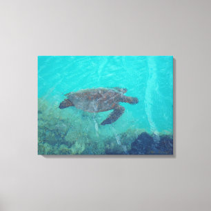 Onderwaterschildpad Kiholo Bay Hawaii canvas print