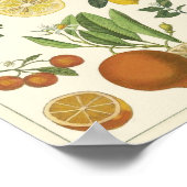 onderwijs poster (Hoek)