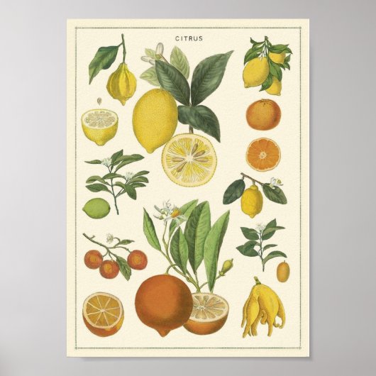 onderwijs poster (Voorkant)