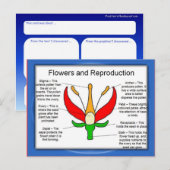 Onderwijs, wetenschap, bloemen en voortplanting briefkaart (Voorkant / Achterkant)
