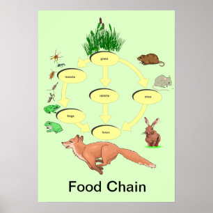 Onderwijs, wetenschap, plattelandsketen poster