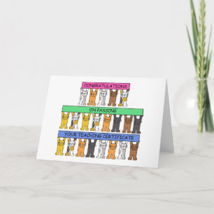 Onderwijscertificaat Gefeliciteerd, Schattigee kat Kaart