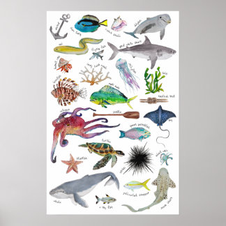Onderzee alfabetposter poster