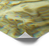 Onderzeese kreeften op de Bahama's Poster (Hoek)