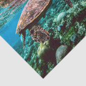 Onderzeese tropische Zee schildpad Tissuepapier (Detail)