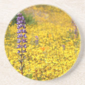 Onderzetter (Voorkant)