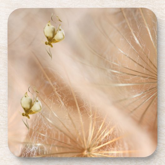 Onderzetter (Voorkant)