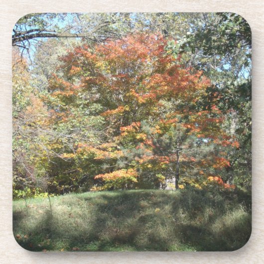 Onderzetter (Voorkant)