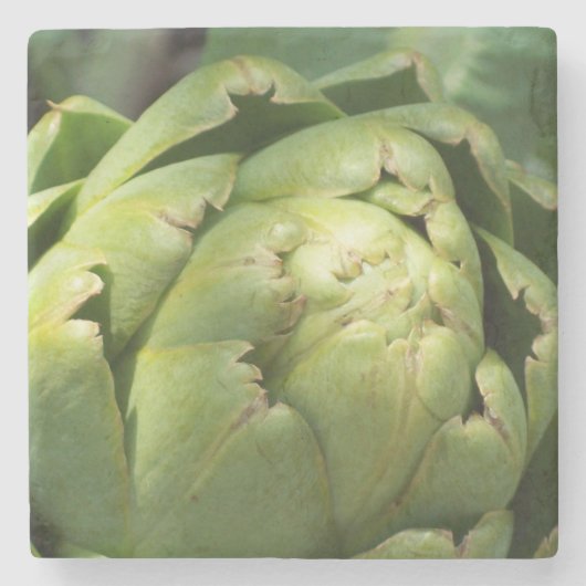 Onderzetter Artichoke Stone (Voorkant)