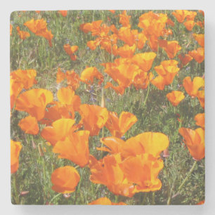Onderzetter California Poppies Stone