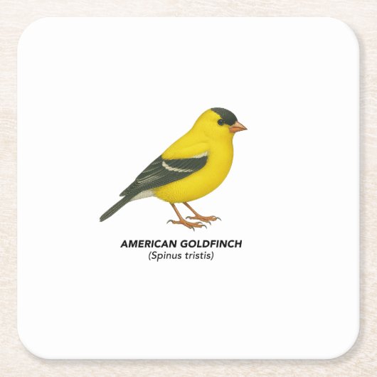 Onderzetter instellen (Voorkant)