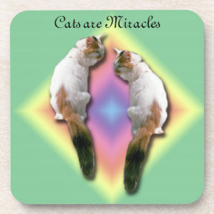 Onderzetter instellen - Katten zijn wonderen