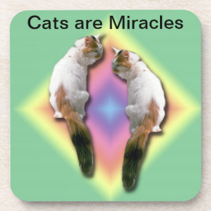 Onderzetter instellen - Katten zijn wonderen