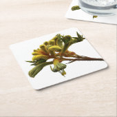 Onderzetter - Kangaroo Paw (Schuin)