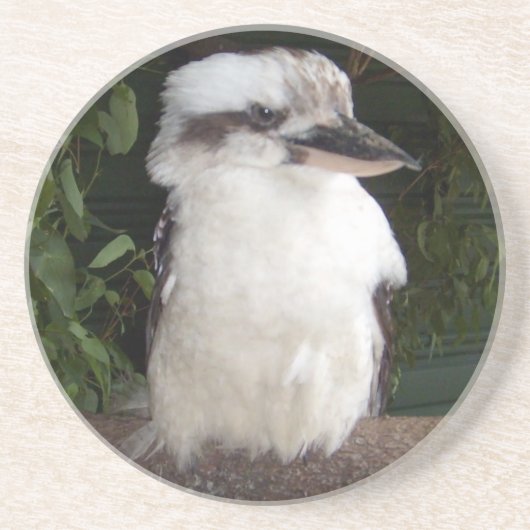 Onderzetter Kookaburra (Voorkant)