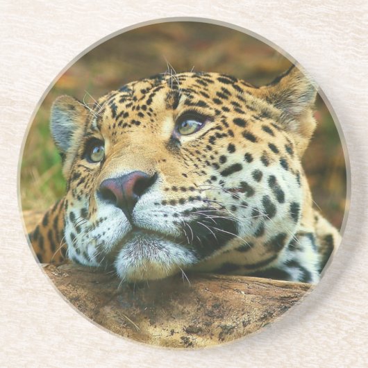 Onderzetter Leopard Stone (Voorkant)