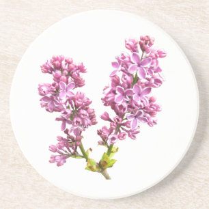 Onderzetter - Lila bloesems