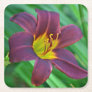 Onderzetter Paarse Lily Party