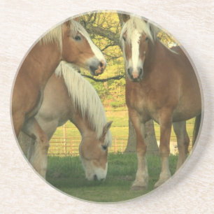 Onderzetter Palomino Draft Horses