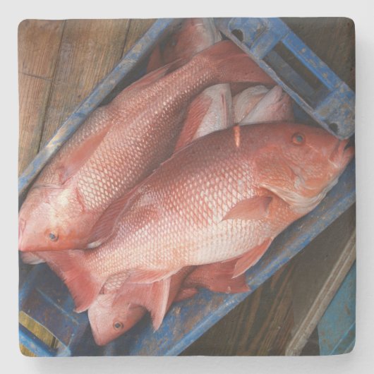 Onderzetter Rode Snapper Square (Voorkant)