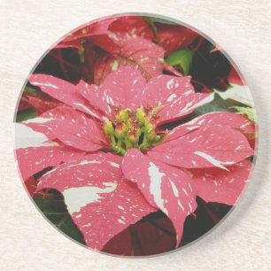 Onderzetter rood en wit Poinsettia