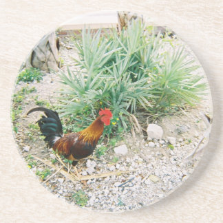 Onderzetter_Rooster Zandsteen Onderzetter