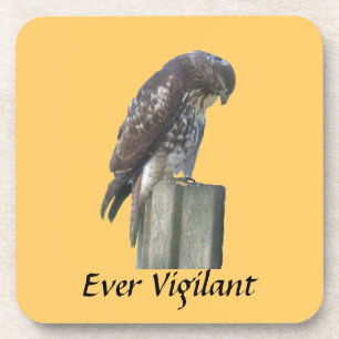 Onderzetter set - Falcon - Ever Vigilant