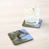 Onderzetter set - Flycatcher (Rechterzijde)