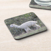 Onderzetter set - White Alpaca (Linkerzijde)